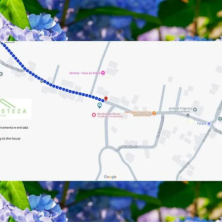 Nordesteza House * Nordestinho